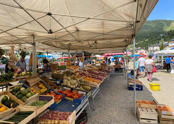 - 21m², 4 Pers, Ascenseur, Parking, Animaux Admis - Fr-1-758-8 * Les Angles (Pyrenees-Orientales)